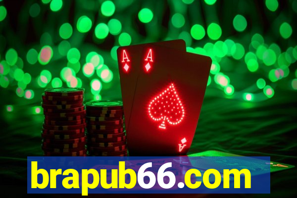 brapub66.com