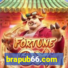 brapub66.com