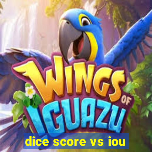 dice score vs iou