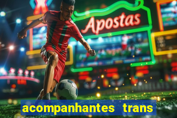 acompanhantes trans porto seguro