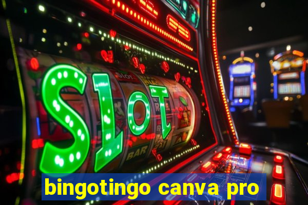 bingotingo canva pro