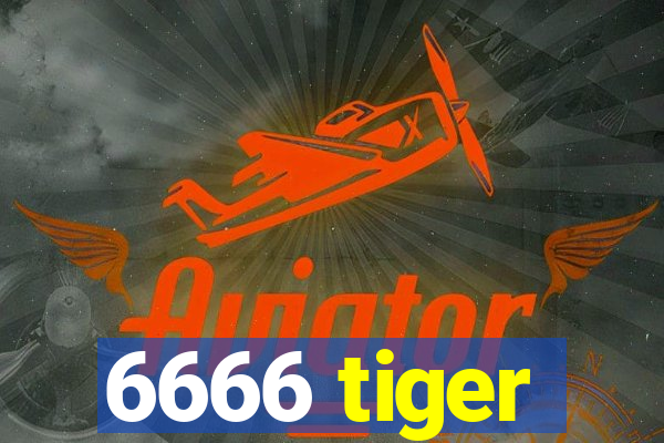 6666 tiger