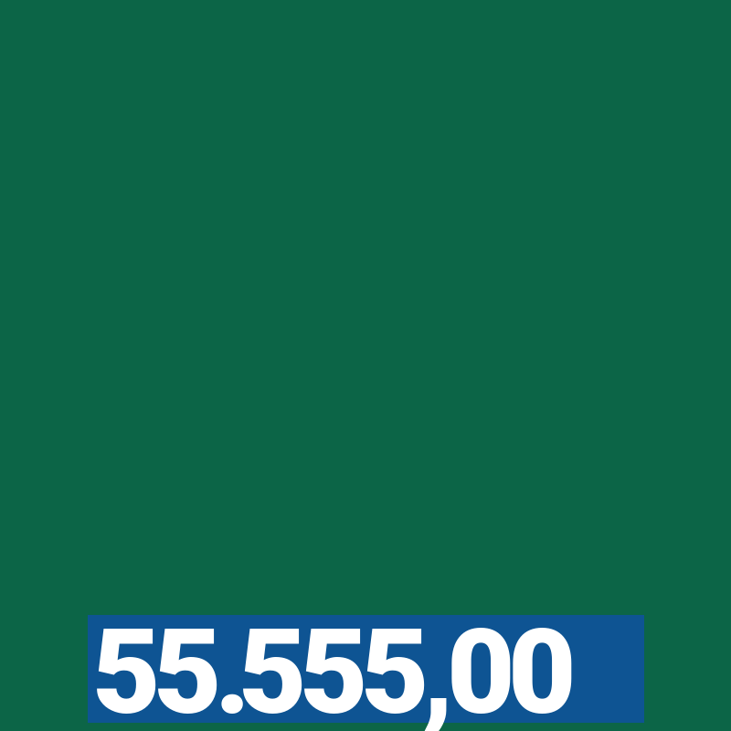 55.555,00