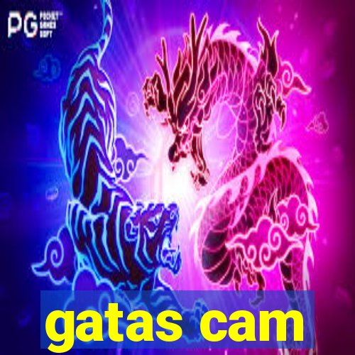 gatas cam