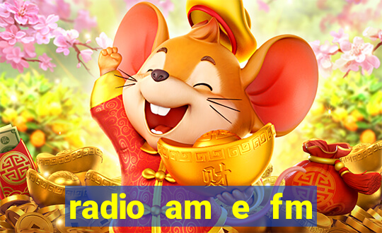 radio am e fm casas bahia