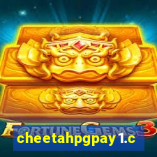 cheetahpgpay1.com