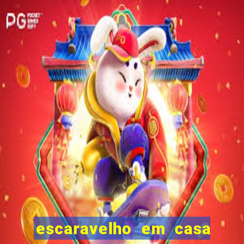 escaravelho em casa significado espiritual