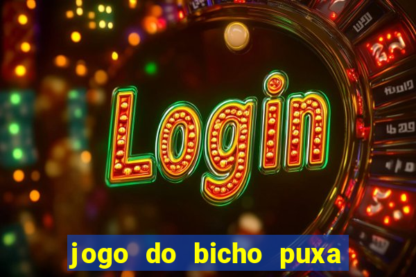 jogo do bicho puxa de dona maria