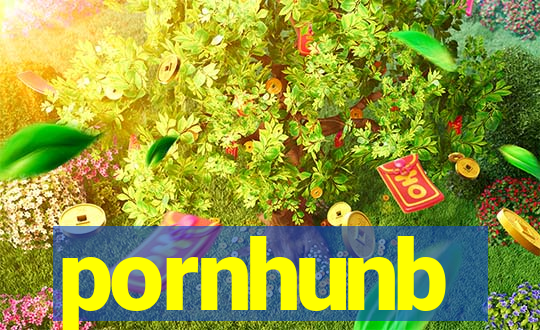 pornhunb