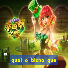 qual o bicho que vai dar hoje