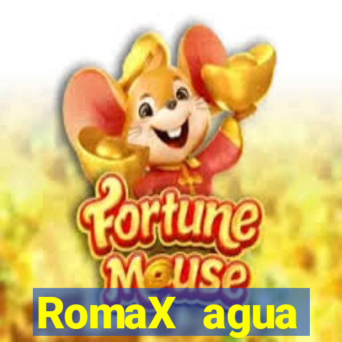 RomaX agua sanitaria fispq agua sanitaria romax