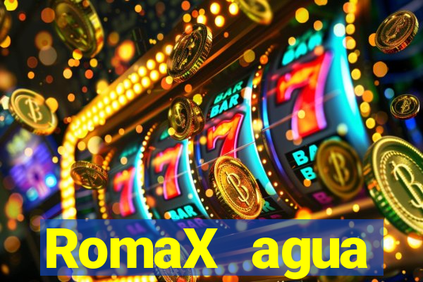 RomaX agua sanitaria fispq agua sanitaria romax