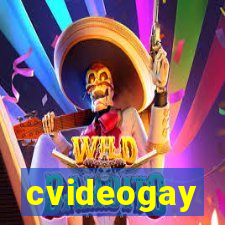 cvideogay