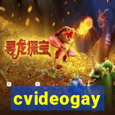 cvideogay