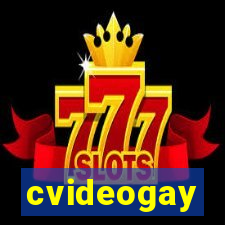 cvideogay