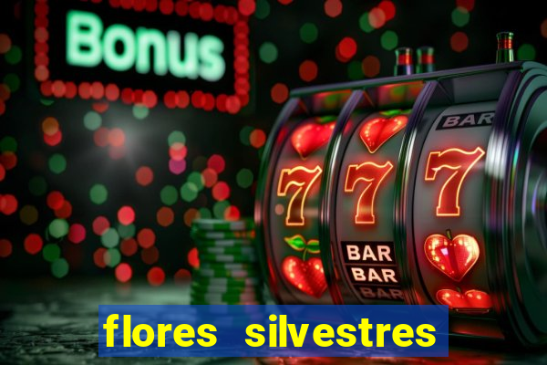 flores silvestres desbravadores desbravadores 25 flores silvestres e seus nomes