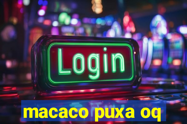 macaco puxa oq