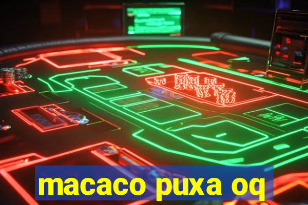 macaco puxa oq