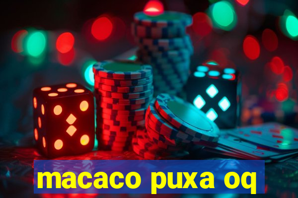 macaco puxa oq