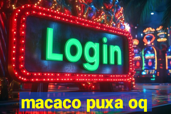 macaco puxa oq