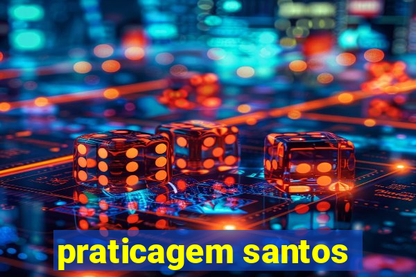 praticagem santos