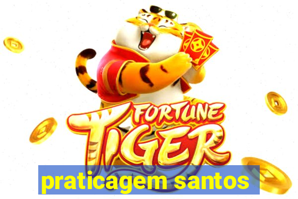 praticagem santos