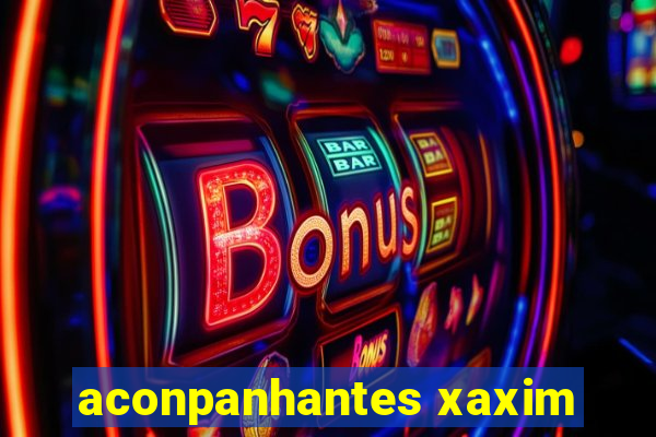 aconpanhantes xaxim