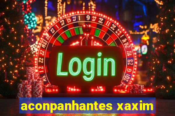 aconpanhantes xaxim