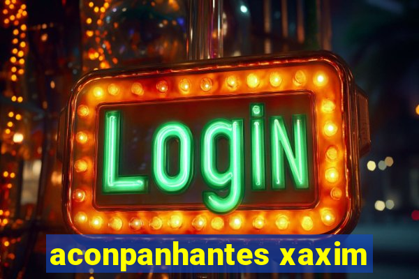 aconpanhantes xaxim