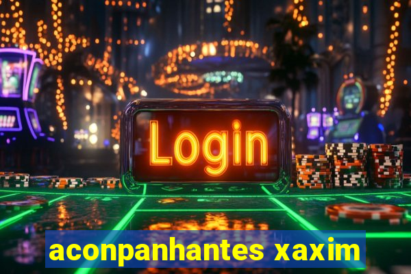 aconpanhantes xaxim