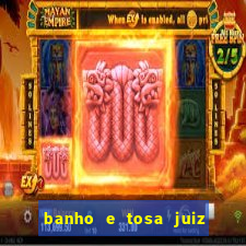 banho e tosa juiz de fora