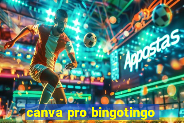 canva pro bingotingo