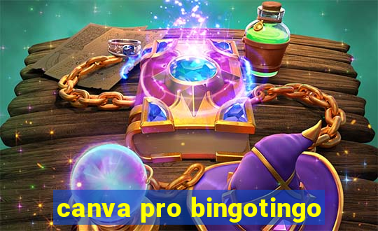 canva pro bingotingo