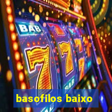 basofilos baixo