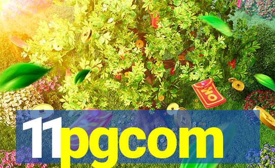 11pgcom