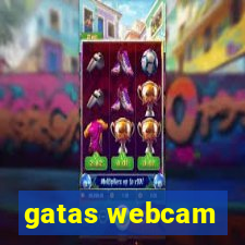 gatas webcam