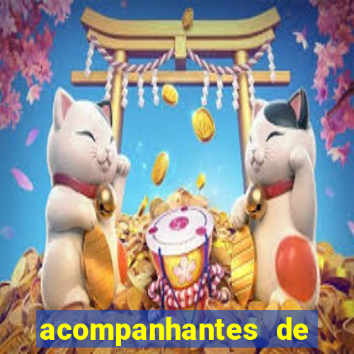 acompanhantes de feira de santana