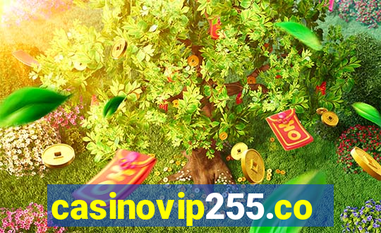 casinovip255.com