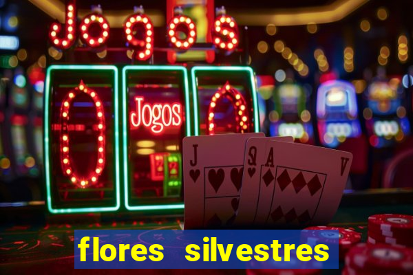 flores silvestres desbravadores desbravadores 25