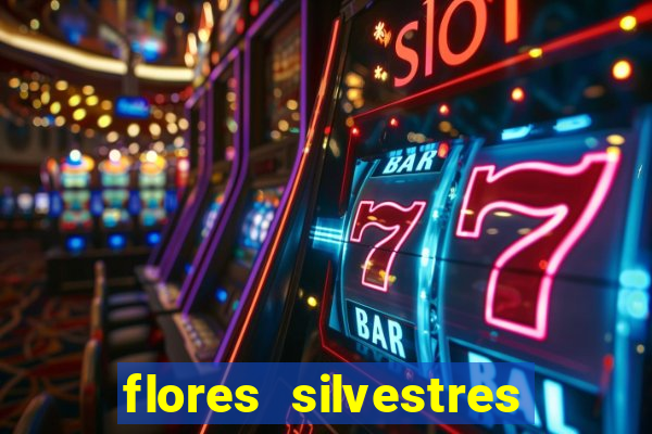 flores silvestres desbravadores desbravadores 25