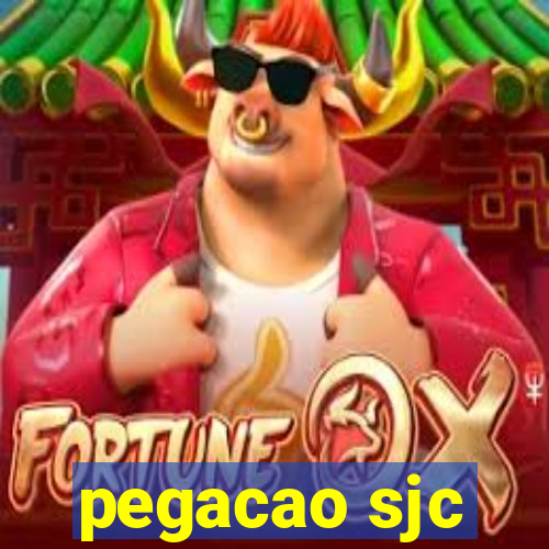 pegacao sjc