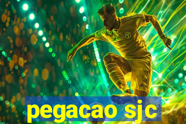 pegacao sjc