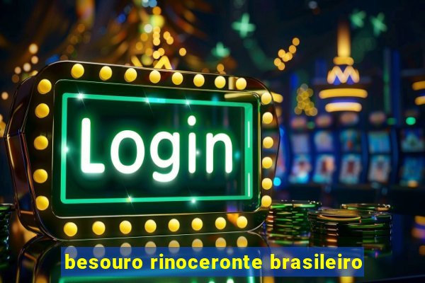 besouro rinoceronte brasileiro