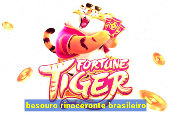 besouro rinoceronte brasileiro