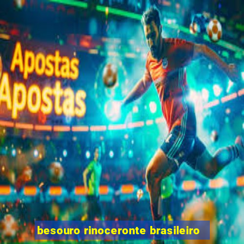 besouro rinoceronte brasileiro