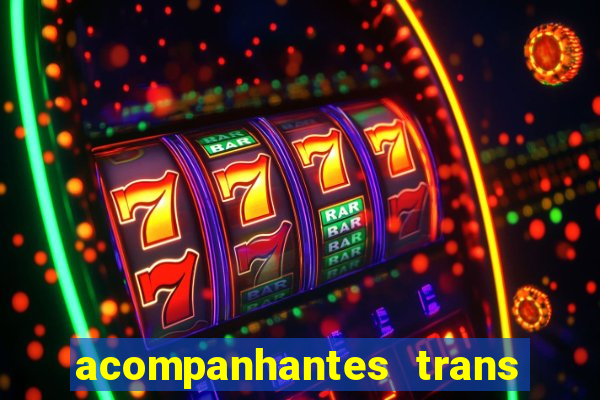 acompanhantes trans baixada fluminense