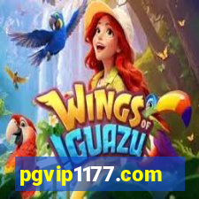 pgvip1177.com