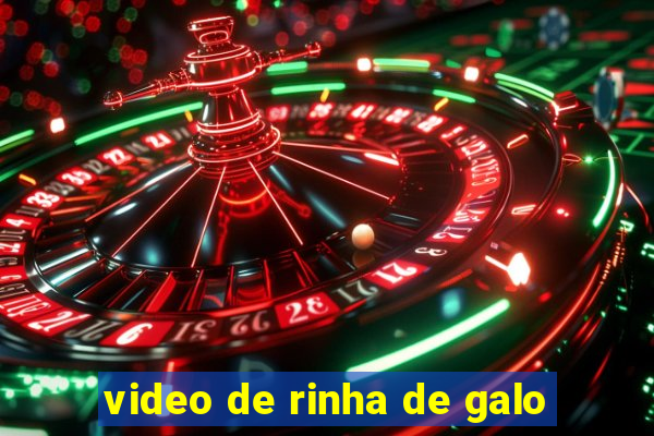 video de rinha de galo