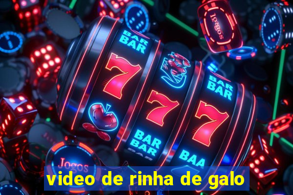 video de rinha de galo