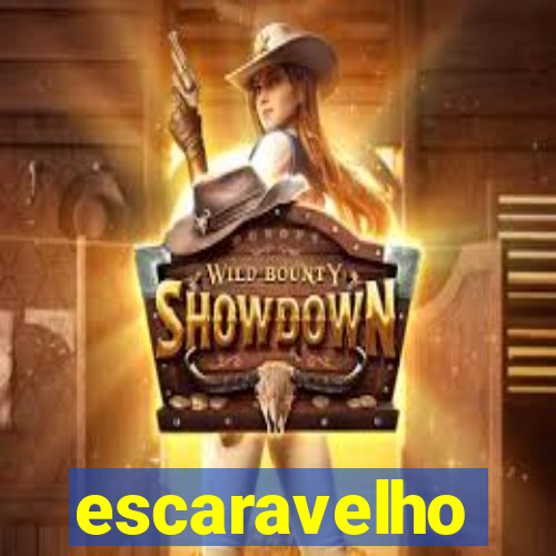 escaravelho significado espiritual